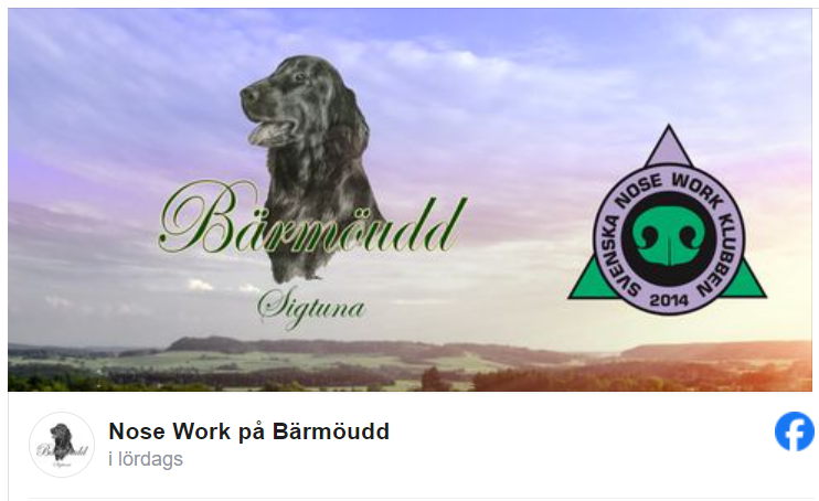 Facebook länk